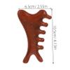 COLLBATH Ergonomic Handle Wooden Scalp Massage Comb Hair Massager Scalp Scrubber Curly Hair Comb view 2