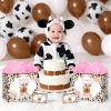 Large Cow Baby Gift Bag Highland Cow Gift Bag with Handles Tissue Paper and Card Cowgirl Birthday Highland Cows Baby Shower Decorations for Girls Cowgirl Cowboy Newborn New Moms Parents Birthday Decor view 4