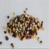 Kauffman Orchards Rainbow Popcorn Kernels in Bulk, 3 Pound Bag view 4