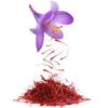 Turkish Safranbolu Superior Saffron Threads (Super Negin) First-class Saffron Spice for Paella, Risotto, Tea and all Kitchen Uses (1gr), Glass Jar In a Wooden Box view 4