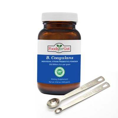 Foods For Gut Bacillus Coagulans Probiotic Powder 350 Billion cfu's | No Additives | Direct from Manufacturer | Digestive & Immune Support | High Potency | B. Coagulans | 100 Gram (3.52 Oz)