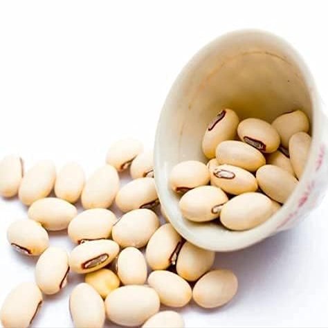 White Kaunch beej/Konch Seed/Safed Koch ke beej 200 gram Alkushi/Kauch/Kapikachhu Herbal Konch