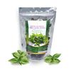 Holy basil leaves 28g (1oz), Dried, From Premium fresh Thai Basil Leaves, 100% Natural, Aromatic Ka Pao, Kra Prao Thai Spice for ASIAN Food (Coriander root) view 2