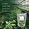 Holy basil leaves 28g (1oz), Dried, From Premium fresh Thai Basil Leaves, 100% Natural, Aromatic Ka Pao, Kra Prao Thai Spice for ASIAN Food (Coriander root) view 3