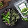 Holy basil leaves 28g (1oz), Dried, From Premium fresh Thai Basil Leaves, 100% Natural, Aromatic Ka Pao, Kra Prao Thai Spice for ASIAN Food (Coriander root) view 4