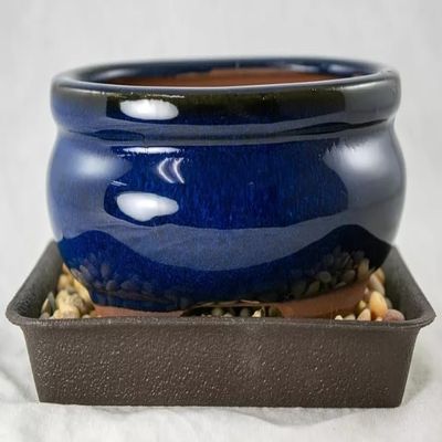 6" Oval Dark Blue Glazed Shohin Bonsai, Cactus & Succulent Combo: Pot + Tray + Rock + Mesh