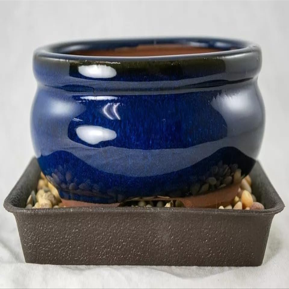 6" Oval Dark Blue Glazed Shohin Bonsai, Cactus & Succulent Combo: Pot + Tray + Rock + Mesh