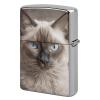 Beautiful Siamese Cat Metal Lighter Case, Durable Lighter Protective Cover with Personalized Graffiti Design Easy to Install, Universal Fit for Standard Lighters, Stylish & Unique Idea view 1