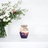 Butterfly Urns for Human Ashes Adult Female, Small Cremation Urn for Ashes for Men, Small Urns for Human Ashes Keepsake, Burial Urn for Ashes for Women(Size - 3inch, 4 Pcs) view 3