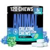 Animal Creatine Chews Enhanced Creatine Monohydrate Chewable Tablets with AstraGin & Sea Salt, Max Absorption Pre Post-Workout, Lean Muscle Growth, Strength & Recovery, New Flavor Candy Crushd view 1