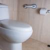 Helping Handle Strong Suction Cup Easy Grip Safety Shower Support Handle, Bath-tub Support, Door/Wall Helping Handle Bathroom Handle view 4