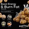 EatThis Superfood Roasted Foxnuts (Makhana), BBQ | Healthy Snack | Pack of 4-12 oz Total | Vegan, Gluten-Free, High Protein, Non-GMO, Guilt free view 4