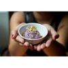 Acai Roots Premium Ube Sorbet, 20 Pound view 3