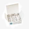 20Pcs S.S Cotton Roll Clips Dental Moisture Clip Cotton Rolls Holder Oral Dry No Rubber Dam view 2