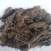 100% Natural Jatamansi Roots 100gm Nardostachys Jatamansi | Spikenard | Musk Root | Nard Indian (Dried) view 2