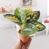 Abaodam 2pcs Bonsai Plants Realistic Faux Potted Greenery for Dollhouse Tiny Decor for Small Spaces Like Desks Nightstands Lightweight Low Maintenance Miniature Adornments view 3