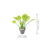 Abaodam 2pcs Bonsai Plants Realistic Faux Potted Greenery for Dollhouse Tiny Decor for Small Spaces Like Desks Nightstands Lightweight Low Maintenance Miniature Adornments view 4
