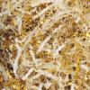 LDKGHE Crinkle Cut Paper Shred Filler for Gift Wrapping Baskets Filling Box Birthdays Christmas Thanksgiving Easter Weddings Valentines Mother's Day Anniversaries (Vanilla and Gold, 2 LB) view 1