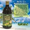 NONI Juice by Morinda, Original and Authentic, Noni Fruit Juice from FIJI with All-Natural Daily Wellness Drink (Pack of 2 x 33.8 Fl Oz Bottles) Natural Goodness view 3