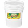 Best Maid Dill Pickle 5 Gallons | Foodservice Bulk | Concession Stand Items | Gourmet | American Grown & Made | Take Home a Taste of Texas (Dill Pickles 90-110 Count) view 1