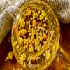 Immortelle (Helichrysum Graveolens) 2 OZ (57g) Loose Herbal Tea | Wild-Harvested from the Mountains of Armenia | Naturally Sourced with Rich Aroma and Distinct Flavor | Handpicked & Premium Quality view 3