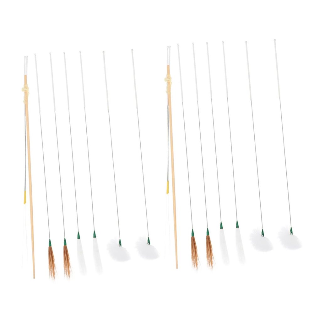 Anneome 16pcs Ear Cleaning Tools Professional Earwax Removers with Handles and Goose Hair Picks for Safe Daily Use and Travel for Family and Gifting