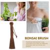 FONDOTIN Multi-use Palm Brush for Planter Cleaning Garden Bonsai Care Sturdy Yet Gentle Handheld Gardening Tool for Cleaning and Maintenance view 3