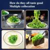 Shredded seaweed,wakame,vegetables,Cold salad,Japanese side dishes,pickles,vegan,Sweet and sour dishes,Sea cabbage,kimchi,delicious Chinese snack (3 flavor mix,6bags) view 4