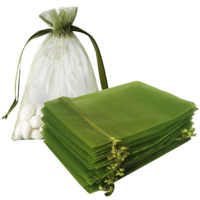 100 Pcs Gift Organza Bags with Drawstring 4x6 inch Light Green for Baby Shower,Christmas,Party Favors,Birthday,Wedding,Bridal Shower Sheer Fabric Clear Mesh Organizer Sachet for Jewelry,Candy,Necklace