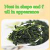 Brewed Dried Spinach, Dehydrated Dried Vegetables, Dried Vegetables and Fruits, Freeze-dried Spinach, 250g/Can, Side Dish, Can Be Make in Soup, Salad and Noodle Side Dishes, Vegan (1 Can) view 2