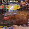 Delicious Intense Roasted Much Mellow Good Shape 20 Sachets(360g) DelongCoffee Safflower Coffee 4in1 Robusta Set 12 D506 By Thaigiftshop [Get Free Tomato Facial Mask] view 2