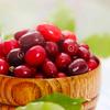 Lavashak,Tavazzo Cornelian Lavashak, Fruit Leather, Natural & Tangy Snack, , Natural & Delicious, 110 g (3.88 oz) view 2