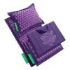 Pranamat Acupressure Large & Small Mat with Pillow and Bag Set, Premium Acupressure Therapy for Pain Relief and Relaxation, Handcrafted in Europe with Sustainable and Natural Materials (Lavander) view 1