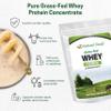 Z Natural Foods Grass-Fed Whey Protein Concentrate - Clean Whey Protein Powder from New Zealand - Cold Processed Pure Whey Protein with Essential Amino Acids for Nutrition & Fitness, Unflavored, 2 lbs view 4