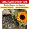 Babkini Semechki Sunflower Seed with Babkini Sticker - Non GMO Seed Packed with Protein& Fiber - Roasted Sunflower Seeds with Resealable Zip Lock Packaging - 4 Pack (500g) view 4