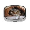 Pill Box Small Pill Case 2 Compartment Cute Medicine Organizer Cat Under Blanket Travel Pillbox Portable Pill Container Holder Vitamin Organizer to Hold Fish Oils Supplements view 2
