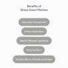 Kind Patches Stress Down Patches - Vitamin B12, Vitamin D3 and Ashwagandha Calming Strip - Natural Ingredients for Daily Stress Support - 30 Count view 2