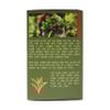 CONG CAPHE - Natural High Mountain Tea, Vietnamese Tea Bags, Rich And Aromatic, Green Tea view 2