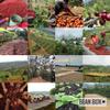 Back Pedal Brew - Roasted by Middle Fork Roasters - Whole Bean Coffee - 2 Pound Bag view 4