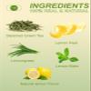 TeeLux Lemon Green Tea Bags, Premium Green Tea with Lemongrass & Lemon Balm, Refreshing & Smooth Flavor, 100 Count view 3