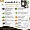 30 Tea Bags/Pack Thipsara Black Coffee Bitter Melon Delicious Coffee Snack Intense Mush Mellow (of 4) By Beautygoodshop [Get Free For You Beauty Gifts] view 4