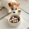 Pet Food Moisture Absorber Reusable Stick Humidity Absorbent Freshness view 4