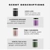 The Diamond Life "Hotel" Collection Carpet Powder Bundle 4 Pack: Noir Luxe, Lavender Dreams, Pink Cashmere, White Tea & Fig - Odor Eliminator for Home, Spring Cleaning, Upholstery & Pet Areas view 2