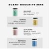 The Diamond Life Home FRESH Collection Carpet Powder Bundle 4-Pack Deodorizing Carpet & Upholstery Freshener Sea Mist, Citrus, Le Fleurs & Refresh for Vacuuming, Spring Cleaning, Rugs, & Pet Beds view 2
