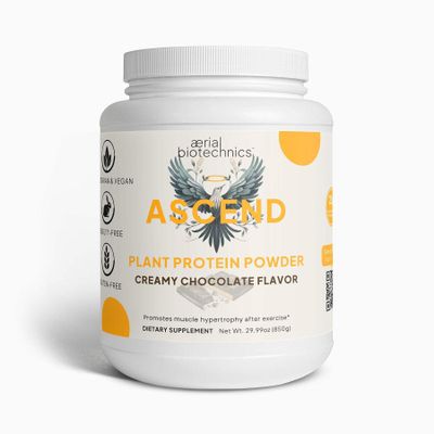 ASCEND Plant Protein (Chocolate)