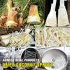 DRIED COCONUT SPROUT 5.29 Oz (150g) VIETFARMFOOD: Dried agricultural products with pure natural flavor. Used as cooking ingredients to prepare delicious, nutritious dishes, suitable for vegetarians view 4
