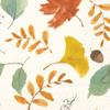 IHR Ideal Home Range Party Napkins Disposable 3-Ply Paper Lunch Napkin Pack, 6.5" x 6.5", Harvest Leaves Allover, 20-Count view 1