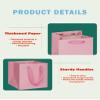 ADIDO EVA 10Pcs Square Gift Bags with Tissue Paper Medium Pink Square Gift Bags with Handles for Party Favor (10x10x10 In, Pink) view 3