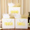 Kolldenn 5 Senses Gift Bags for Him Her Five Senses Gift Bag with Ribbon Handles and Tissue Paper Present Wrappings for Valentine Wedding Birthday Mothers Day(White,11.8 x 10 x 4 Inch) view 3