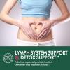 Selvaherb Poke Root Capsules Lymphatic Drainage Supplements, Lymph System Support for Edema with Red Root Extract, Dandelion for Immune Boost & Lymph Detox 90 Count view 2